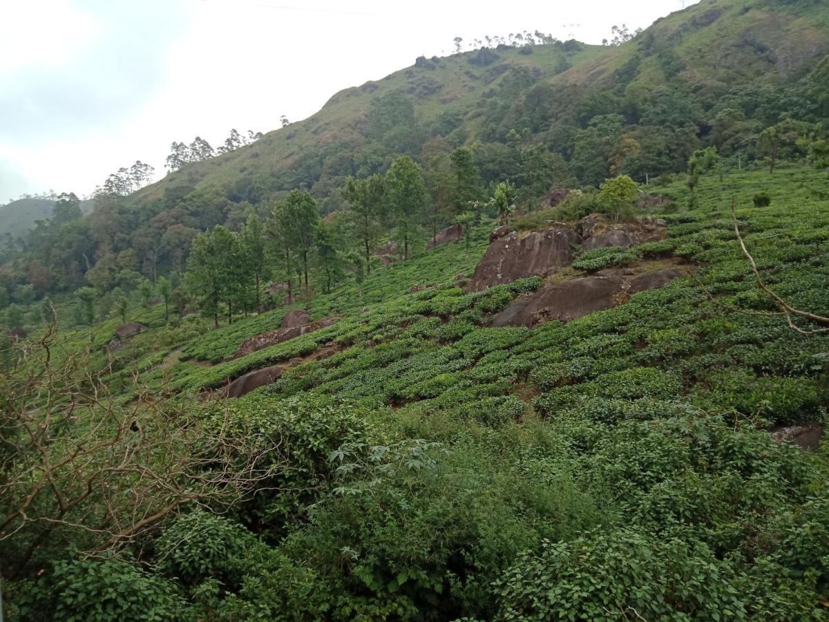 Tea Dale - All Rooms With Tea Estate View Munnar Exterior photo